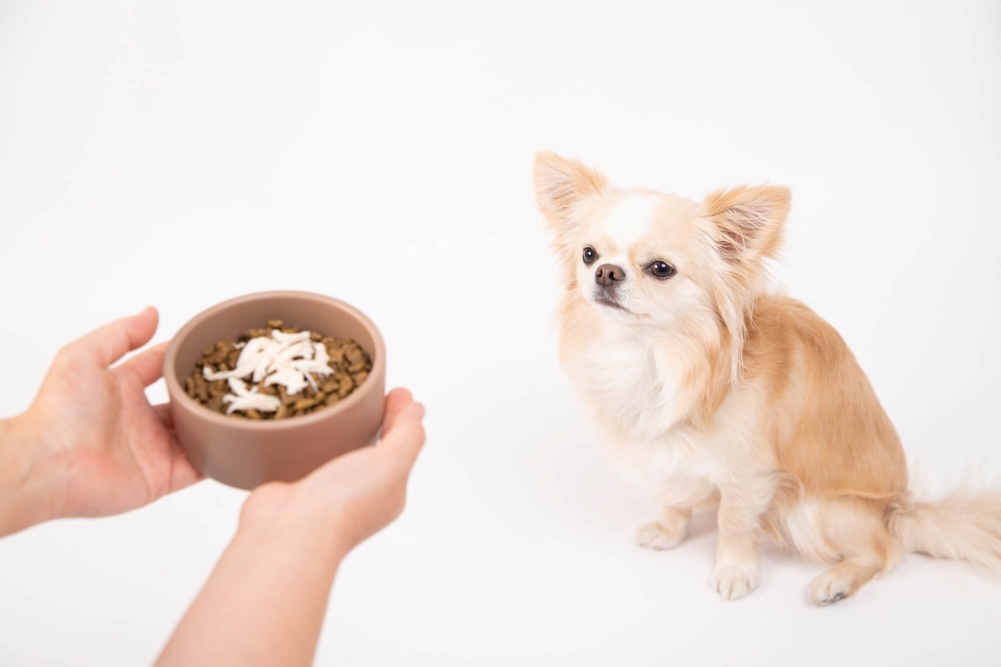 おうちでできるアレルギー対策